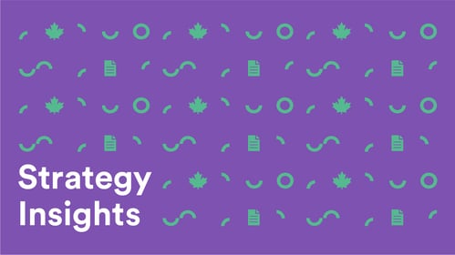 Background Pattern 2 with Strategy Insights text - CRA's Objection Process: Full Engagement vs. Strategic Disengagement, unique expertise in overturning CRA reassessments by Counter Tax Litigators LLP.